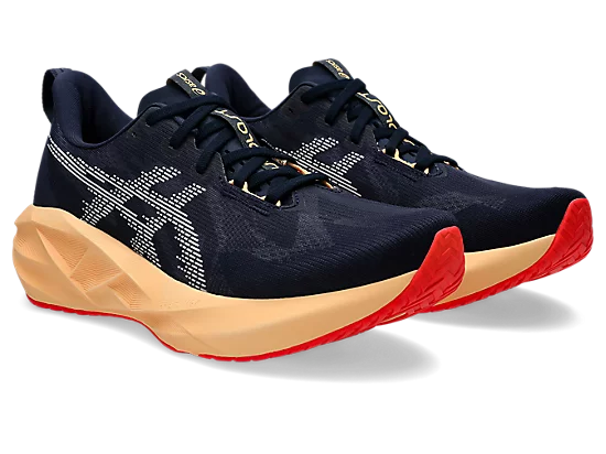 Asics Novablast 5 Chaussures Course (homme)