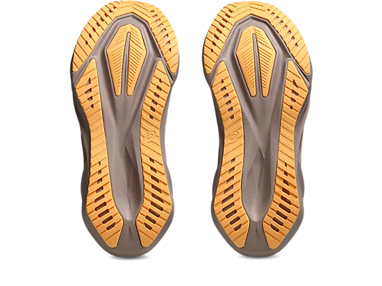 Asics Novablast 5 Chaussures Course (femme)