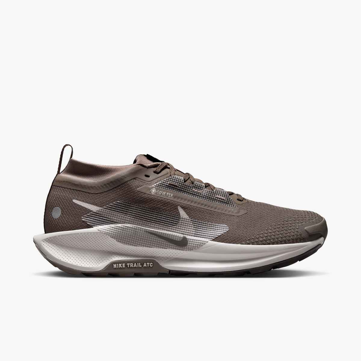 Nike Pegasus Trail 5 GTX Chaussures Course (homme)