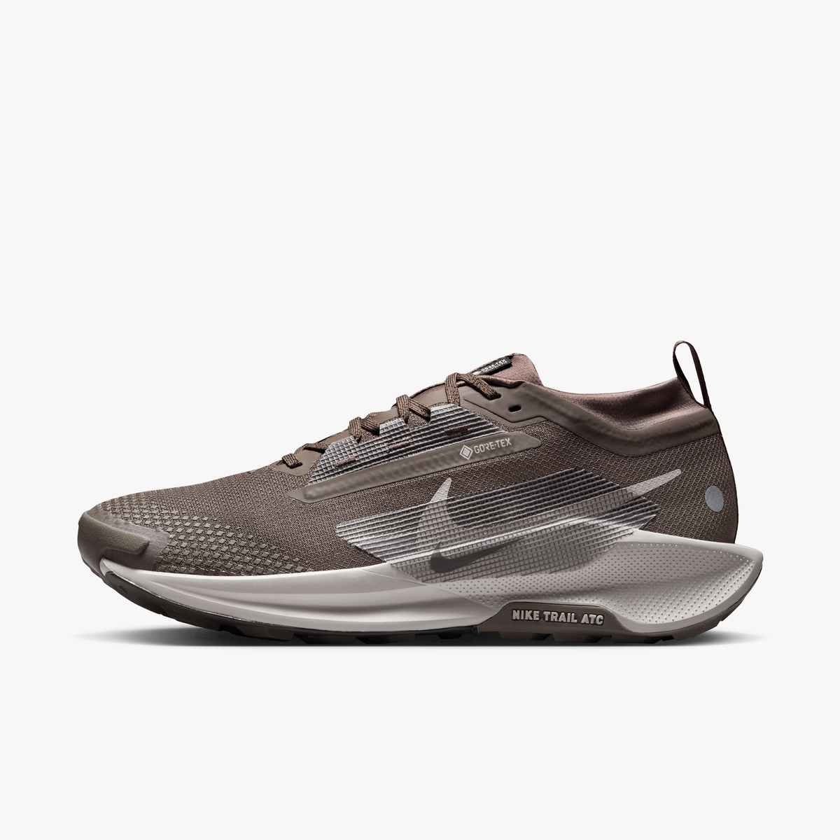 Nike Pegasus Trail 5 GTX Chaussures Course (homme)
